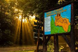 panduan wisata ke Cagar Alam Pangandaran